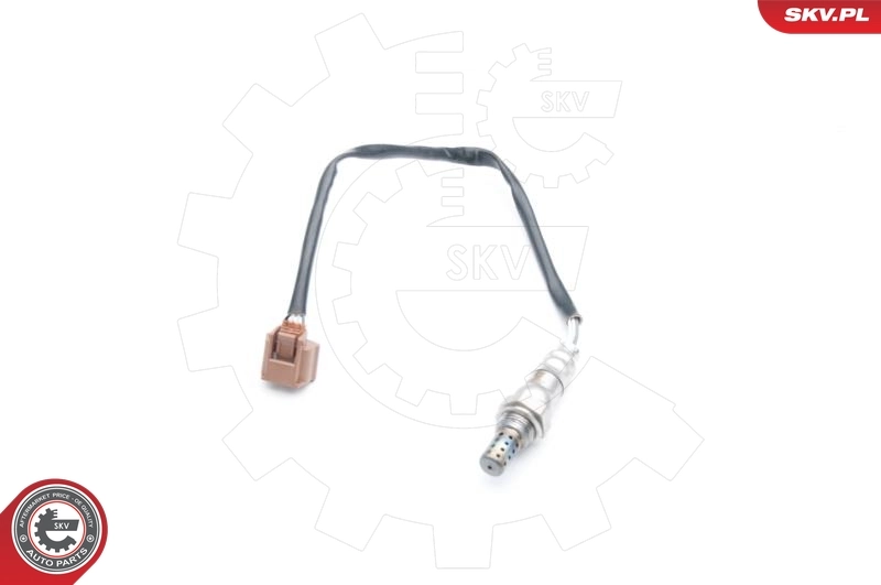 Oxygen Sensor